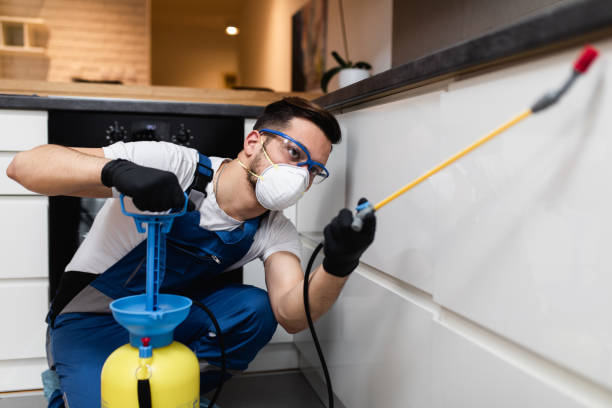 Best Commercial Pest Control Services  in Thornton, IL