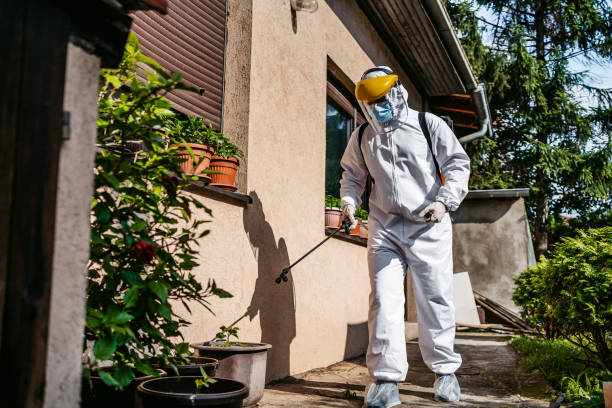 Best Insect Control  in Thornton, IL