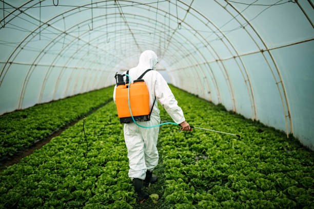 Best Affordable Pest Control Services  in Thornton, IL