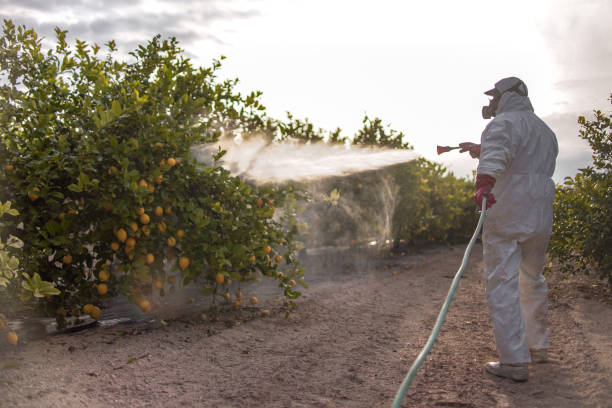 Thornton, IL Pest Control Pros