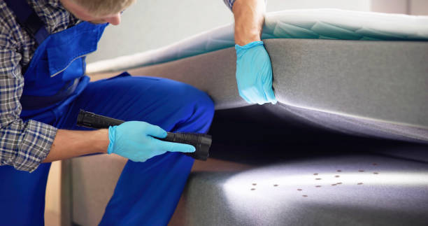 Best Cockroach Control Services  in Thornton, IL