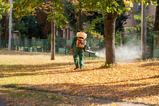 Bird Control in Thornton, IL
