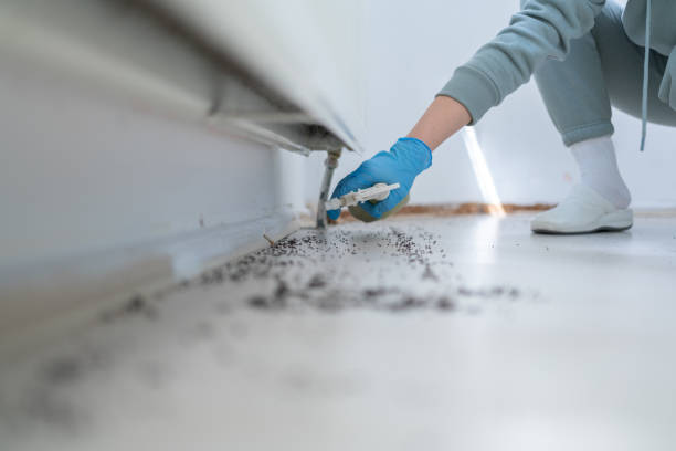 Best Best Pest Control Companies  in Thornton, IL
