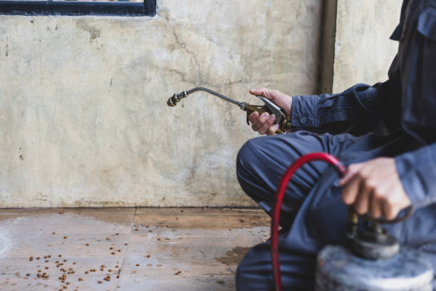 Best Pest Control Treatment  in Thornton, IL